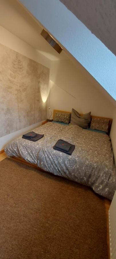 Ruhiges & Zentrales Loft In * Lorrach